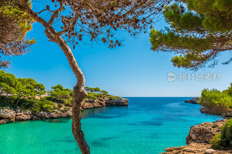 欧洲西班牙巴利阿里群岛马略卡岛东南海岸Cala d'Or的Cala Esmerelda绿宝石水域